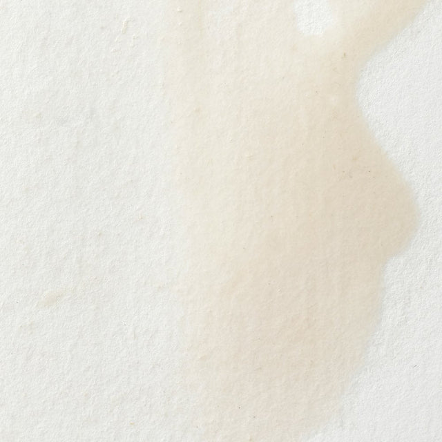 Winsor & Newton Professional Watercolor Chinese White 14ml - The Merri Artist - merriartist.com