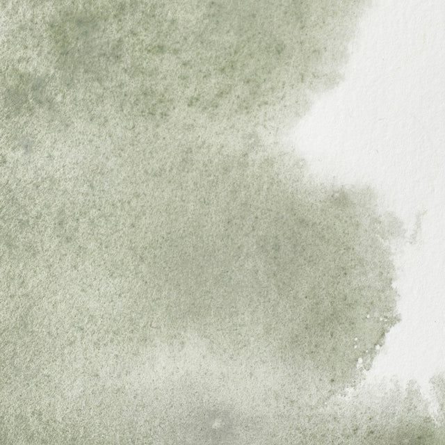 Winsor & Newton Professional Watercolor Davy Gray 14ml - The Merri Artist - merriartist.com