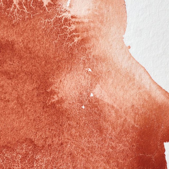 Winsor & Newton Professional Watercolor Light Red 14ml - The Merri Artist - merriartist.com