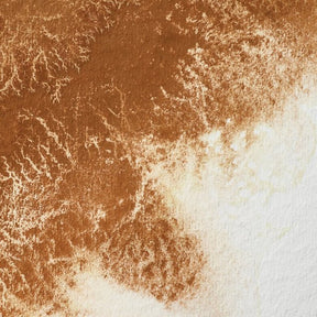 Winsor & Newton Professional Watercolor Magnesium Brown 14ml - The Merri Artist - merriartist.com