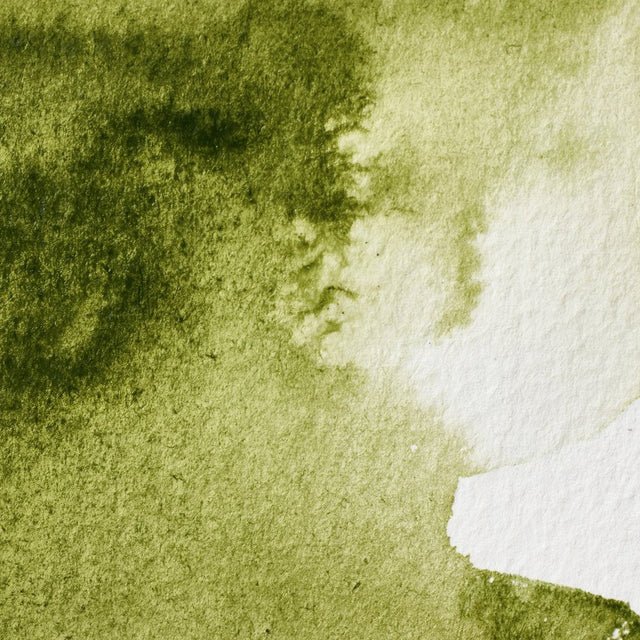 Winsor & Newton Professional Watercolor Olive Green 14ml - The Merri Artist - merriartist.com