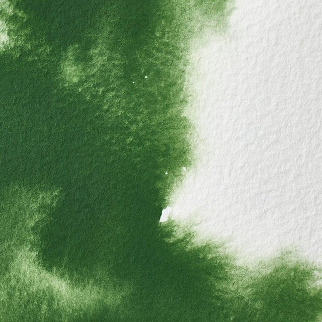 Winsor & Newton Professional Watercolor Oxide Of Chromium 14ml - The Merri Artist - merriartist.com