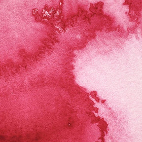 Winsor & Newton Professional Watercolor Permanent Rose 37ml - The Merri Artist - merriartist.com