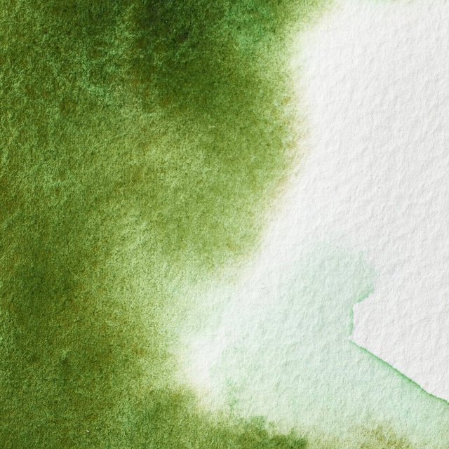 Winsor & Newton Professional Watercolor Permanent Sap Green 37ml - The Merri Artist - merriartist.com