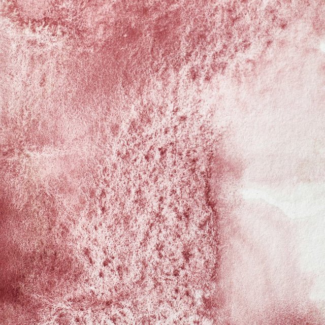 Winsor & Newton Professional Watercolor Potters Pink 14ml - The Merri Artist - merriartist.com