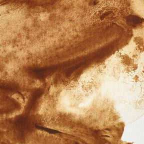 Winsor & Newton Professional Watercolor Raw Umber 37ml - The Merri Artist - merriartist.com