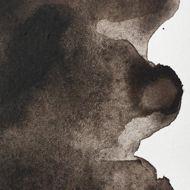 Winsor & Newton Professional Watercolor Sepia 14ml - The Merri Artist - merriartist.com