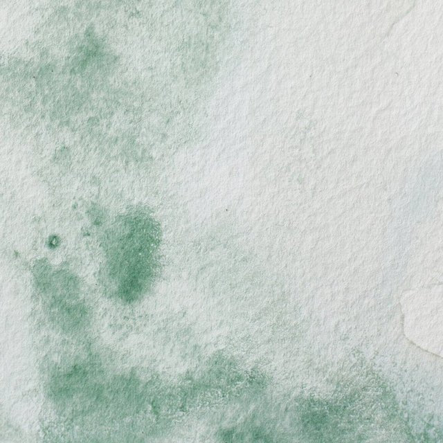 Winsor & Newton Professional Watercolor Terre Verte 14ml - The Merri Artist - merriartist.com