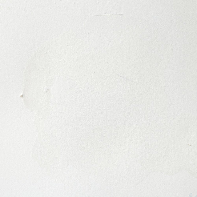 Winsor & Newton Professional Watercolor Titanium White 14ml - The Merri Artist - merriartist.com