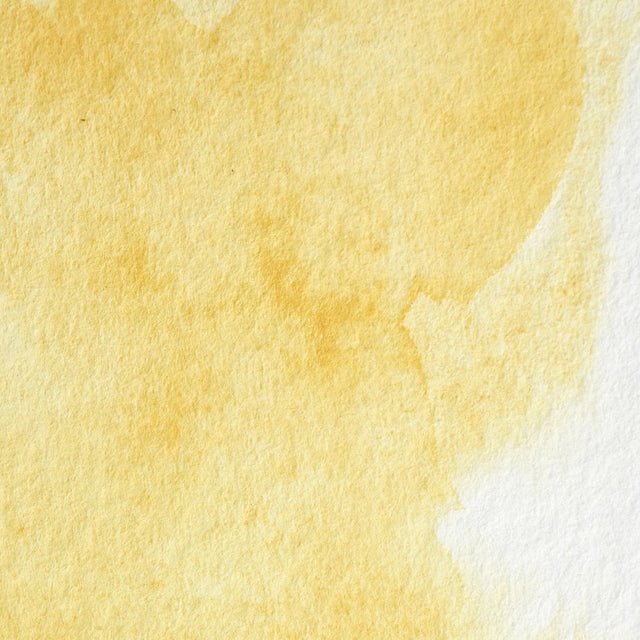 Winsor & Newton Professional Watercolor Turners Yellow 14ml - The Merri Artist - merriartist.com