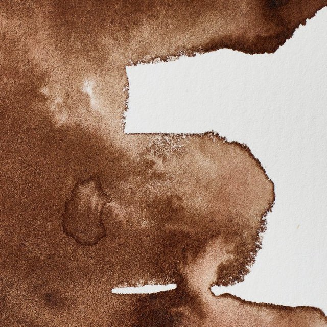 Winsor & Newton Professional Watercolor Van Dyke Brown 14ml - The Merri Artist - merriartist.com