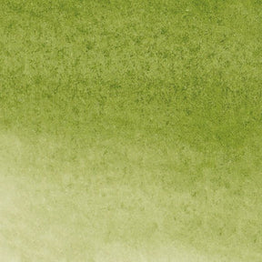 Winsor & Newton Watercolor Marker - Sap Green - The Merri Artist - merriartist.com