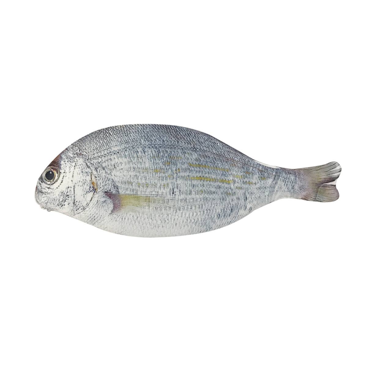 Wrapables.com - Wrapables Novelty Fish Style Pencil Case - Yellow - The Merri Artist - merriartist.com