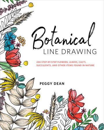 Botanical Line Drawing by Peggy Dean - merriartist.com