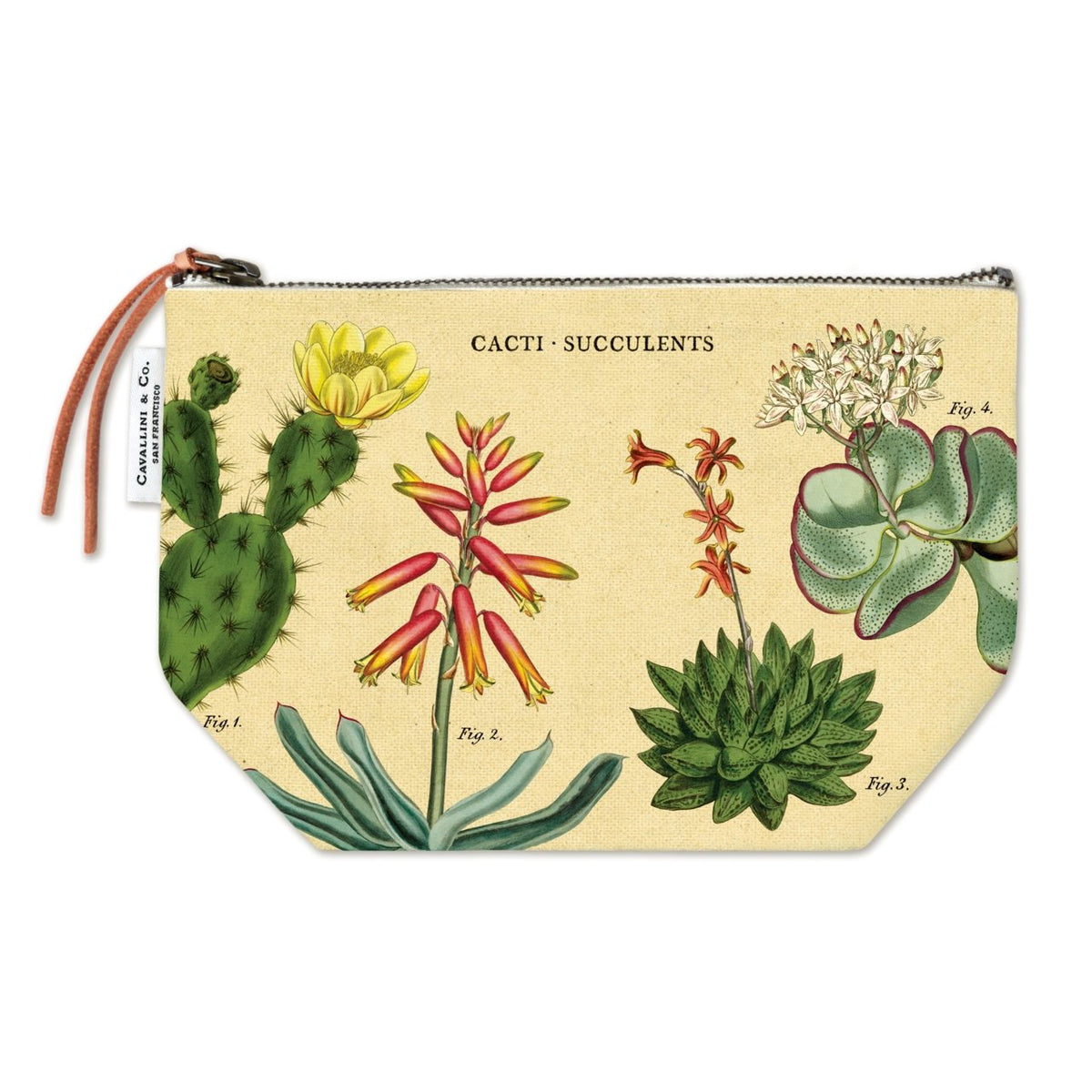 Cavallini Vintage Inspired Pouch - Cacti & Succulents - merriartist.com