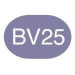 Copic Sketch Marker BV25 Grayish Violet - merriartist.com