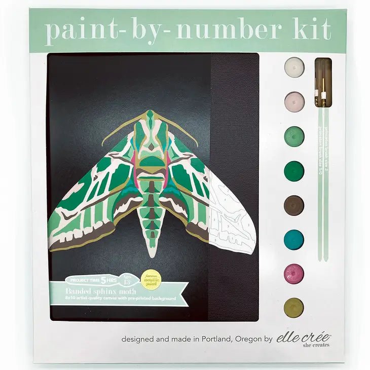 elle crée Banded Sphinx Moth Paint-by-Number Kit - merriartist.com