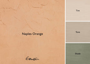 Gamblin Artist's Oil Colors Naples Orange 37 ml - merriartist.com