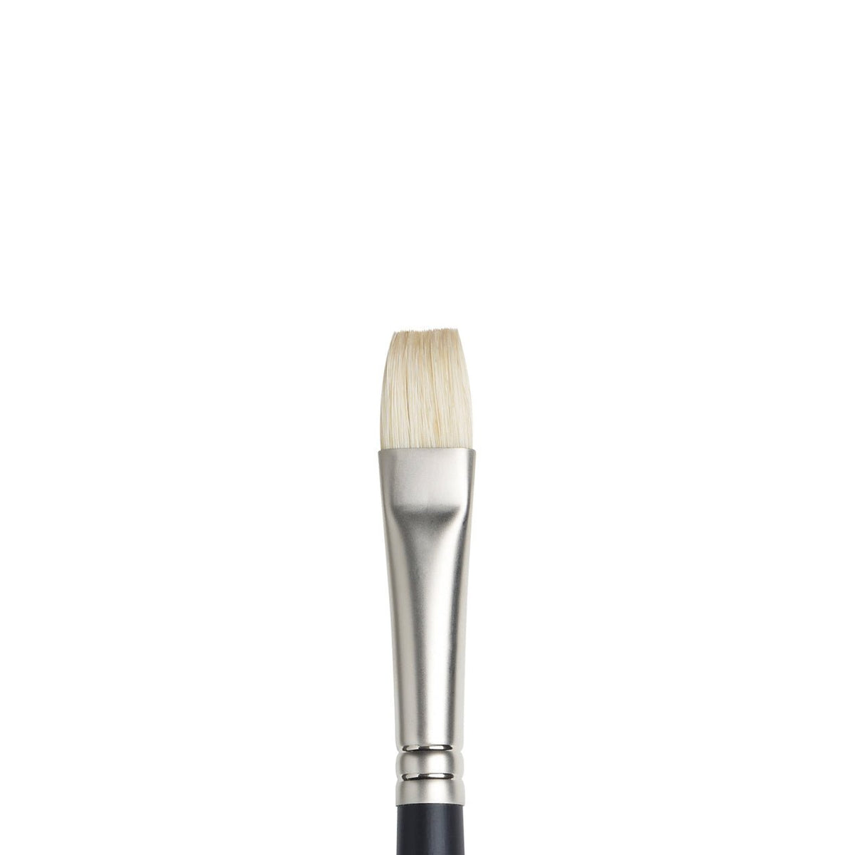 Winsor and Newton Artists' Oil Brushes 8 Bright - 8856629